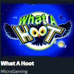 what a hoot casinozer